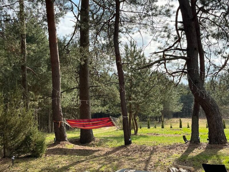 Треугольный дом A-frame «Vibe House»