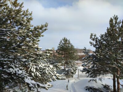 Агроусадьба «Медвежья берлога»