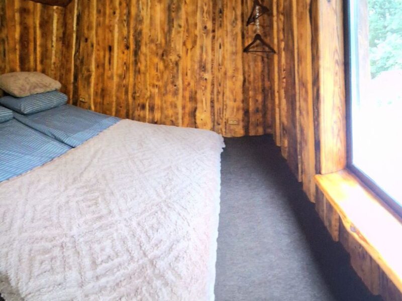 Гостевой дом в Беловежской пуще "Forest House"