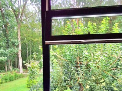Гостевой дом в Беловежской пуще "Forest House"