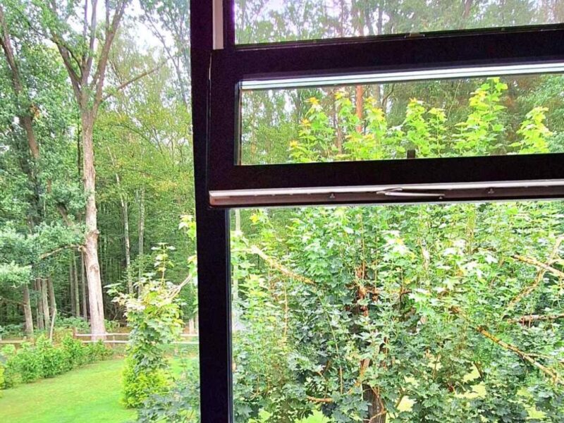 Гостевой дом в Беловежской пуще "Forest House"