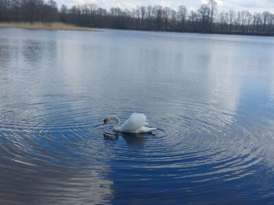 Гостевой дом «Ваш идеальный уикенд»