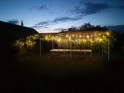 Агроусадьба "На просторе"