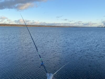 Сдам дом на озере Свирь