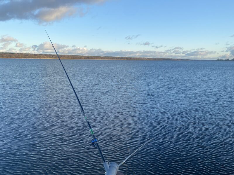 Сдам дом на озере Свирь